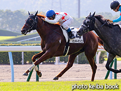 カラーパネル2015年8月15日小倉12R 3歳上500万下(ミッキーオリビエ)