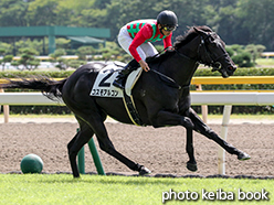 カラープリント(アルミ枠付き)2015年8月15日新潟1R 2歳未勝利(コスモアルコン)