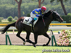 カラープリント(アルミ枠なし)2015年8月15日新潟2R 2歳未勝利(カミノライデン)