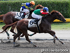 カラーパネル2015年8月15日新潟3R 3歳未勝利(ハイヴォルテージ)