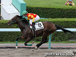 カラーパネル2015年8月15日札幌4R 3歳未勝利(モンドクラフト)