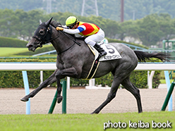 カラープリント(アルミ枠なし)2015年8月16日小倉5R 2歳新馬(キンショーユキヒメ)