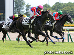 カラーパネル2015年8月16日新潟4R 3歳未勝利(トーホウスペンサー)