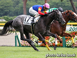 カラープリント(アルミ枠付き)2015年8月16日新潟5R 2歳新馬(ディーズプラネット)