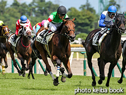 カラーパネル2015年8月16日新潟7R 3歳上500万下(アールブリュット)