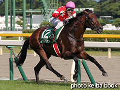 カラープリント(アルミ枠付き)2015年8月16日新潟11R 関屋記念(レッドアリオン)