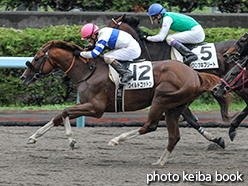 カラープリント(アルミ枠付き)2015年8月16日札幌7R 3歳上500万下(ワイルドコットン)