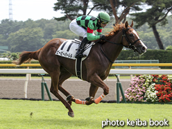 カラーパネル2015年8月22日新潟1R 2歳未勝利(ビービーバーレル)