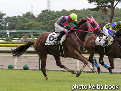 カラープリント(アルミ枠なし)2015年8月23日新潟4R 障害未勝利(ダンツメガヒット)