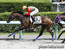 カラープリント(アルミ枠付き)2015年8月23日札幌6R 3歳上500万下(コスモキーマン)