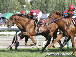 カラーパネル2015年8月23日札幌11R 札幌記念(ディサイファ)