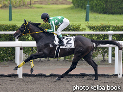 カラープリント(アルミ枠なし)2015年8月29日小倉6R 3歳未勝利(タイキラトナンジュ)