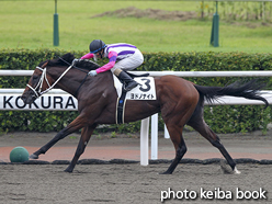 カラープリント(アルミ枠なし)2015年8月29日小倉7R 3歳未勝利(ヨドノナイト)