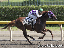 カラープリント(アルミ枠なし)2015年8月29日新潟7R 3歳上500万下(メイプルレインボー)