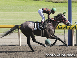 カラープリント(アルミ枠付き)2015年8月29日新潟9R 麒麟山特別(モズライジン)