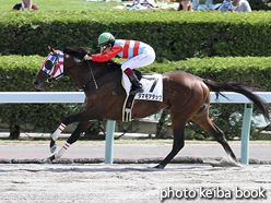 カラープリント(アルミ枠なし)2015年8月29日札幌2R 3歳未勝利(タマモアタック)