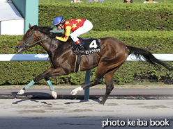 カラープリント(アルミ枠なし)2015年8月29日札幌12R ポプラ特別(モンドクラッセ)