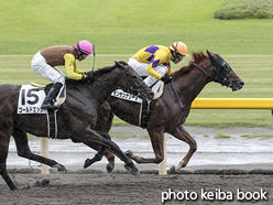 カラープリント(アルミ枠なし)2015年8月30日新潟4R 3歳未勝利(モンサンナシーラ)