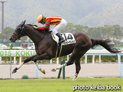 カラープリント(アルミ枠なし)2015年9月5日小倉7R 3歳未勝利(ハッピーウィルス)