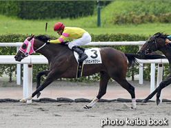 カラーパネル2015年9月5日小倉8R 3歳上500万下(コウエイラブリー)