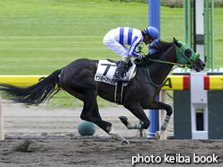 カラーパネル2015年9月5日新潟1R 2歳未勝利(ナンヨーファミユ)