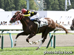 カラープリント(アルミ枠付き)2015年9月5日札幌5R 2歳新馬(キングライオン)