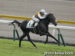 カラープリント(アルミ枠なし)2015年9月6日新潟1R 2歳未勝利(ニシノジャーニー)