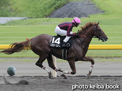 カラープリント(アルミ枠なし)2015年9月6日新潟9R 両津湾特別(ゴドリー)