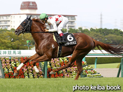 カラーパネル2015年9月12日阪神9R 野分特別(ミッキーオリビエ)