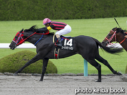 カラーパネル2015年9月12日阪神11R エニフステークス(エーシンビートロン)