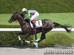 カラープリント(アルミ枠付き)2015年9月13日阪神4R 障害未勝利(タガノグーフォ)