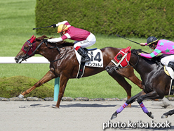 カラーパネル2015年9月13日阪神7R 3歳上500万下(インフェルノ)