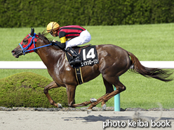 カラーパネル2015年9月13日阪神9R 夙川特別(エイシンローリン)