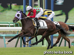 カラーパネル2015年9月13日中山6R 2歳新馬(コスモプロテア)