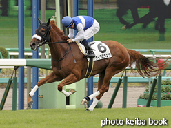 カラーパネル2015年9月13日中山8R 3歳上500万下(ダイワミランダ)