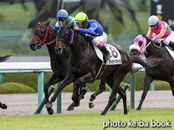 カラープリント(アルミ枠付き)2015年9月19日阪神2R 2歳未勝利(タイセイマライカ)