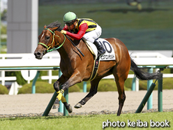 カラーパネル2015年9月19日阪神5R 2歳新馬(ピュアコンチェルト)