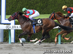 カラーパネル2015年9月19日阪神11R オークランドRCT(アウォーディー)