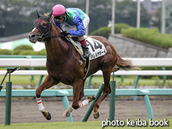 カラープリント(アルミ枠なし)2015年9月19日中山3R 2歳未勝利(ハレルヤボーイ)