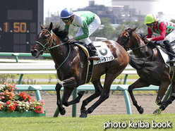 カラーパネル2015年9月19日中山5R 2歳新馬(ヴィータファン)