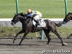 カラープリント(アルミ枠付き)2015年9月19日中山8R 3歳上500万下(ロジテースト)