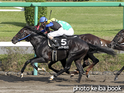 カラーパネル2015年9月19日中山10R 松戸特別(ファイヤーロック)