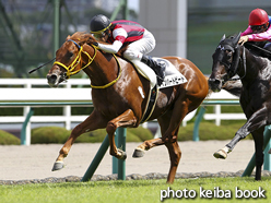 カラーパネル2015年9月20日阪神2R 2歳未勝利(ウインハートビート)