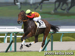 カラープリント(アルミ枠なし)2015年9月20日阪神7R 3歳上500万下(ハギノナトゥーラ)