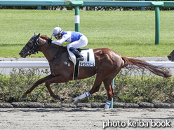 カラープリント(アルミ枠付き)2015年9月20日中山4R 3歳未勝利(ダイワパフォーム)