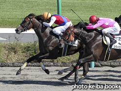 カラープリント(アルミ枠付き)2015年9月20日中山8R 3歳上500万下(ロックキャンディ)