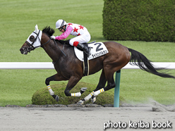 カラープリント(アルミ枠なし)2015年9月21日阪神3R 3歳未勝利(ダイシンバルカン)