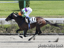 カラーパネル2015年9月21日中山4R 障害未勝利(ブライトボーイ)