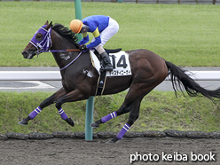 カラープリント(アルミ枠なし)2015年9月26日中山3R 3歳未勝利(ディスティニーガイ)