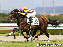 カラーパネル2015年9月27日阪神5R 2歳新馬(ロライマ)
